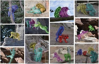 MacaquePose: A Novel “In the Wild” Macaque Monkey Pose Dataset for Markerless Motion Capture